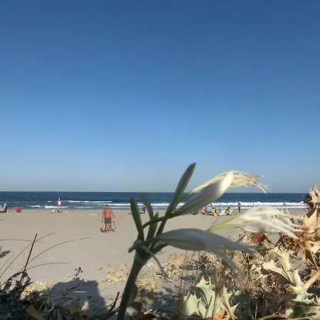 La Costa Est Con Vista Mare In Ogliastra Sardegna דירה Tertenìa